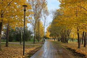 Image-preview_300x200