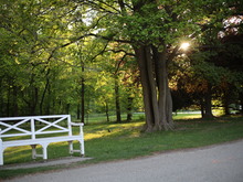 Image-rectangle_220_165