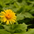 Image-square_50