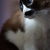 Image-square_50