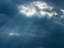 Image-rectangle_220_165