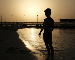 Image-preview_300x200
