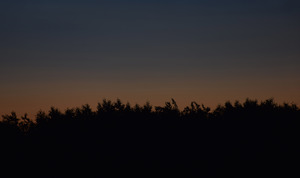 Image-preview_300x200
