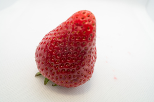 Image-preview_300x200