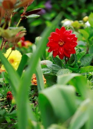 Image-preview_300x200