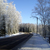 Image-square_50