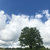 Image-square_50