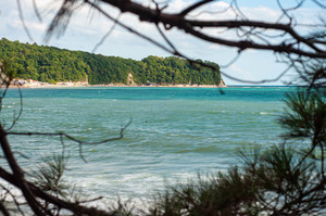 Image-preview_300x200