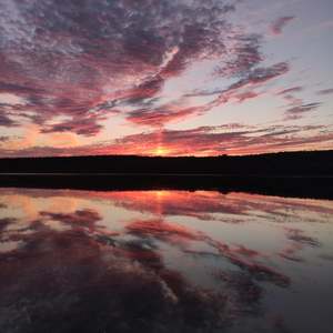 Image-preview_300x200