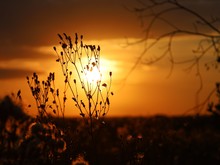 Image-rectangle_220_165