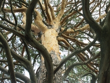 Image-rectangle_220_165