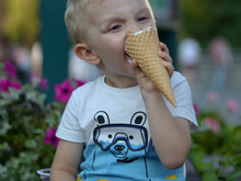 Image-rectangle_220_165