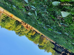 Image-preview_300x200