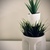 Image-square_50