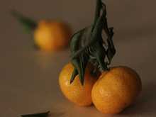 Image-rectangle_220_165