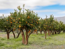 Image-rectangle_220_165