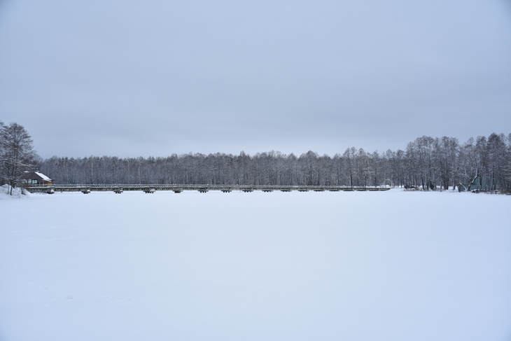 Image-normal