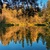 Image-square_50