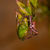 Image-square_50