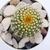 Image-square_50
