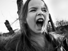 Image-rectangle_220_165