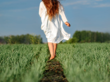 Image-rectangle_220_165