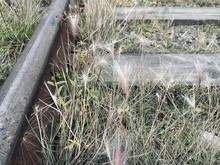Image-rectangle_220_165