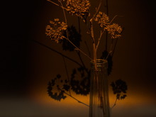 Image-rectangle_220_165