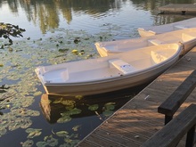 Image-rectangle_220_165