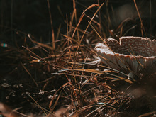 Image-rectangle_220_165