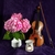 Image-square_50