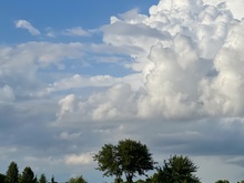 Image-rectangle_220_165