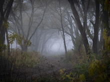 Image-rectangle_220_165