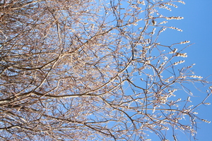 Image-preview_300x200