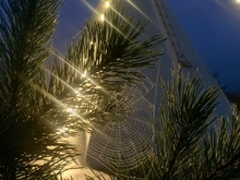 Image-rectangle_220_165