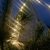 Image-square_50