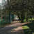 Image-square_50