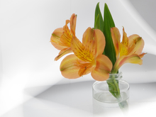 Image-rectangle_220_165