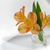 Image-square_50