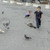 Image-square_50