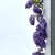 Image-square_50