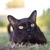 Image-square_50