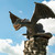 Image-square_50