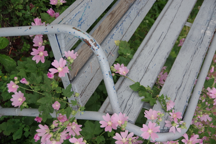 Image-normal
