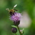 Image-square_50