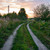 Image-square_50