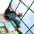 Image-square_50