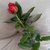 Image-square_50