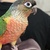Image-square_50