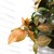 Image-square_50